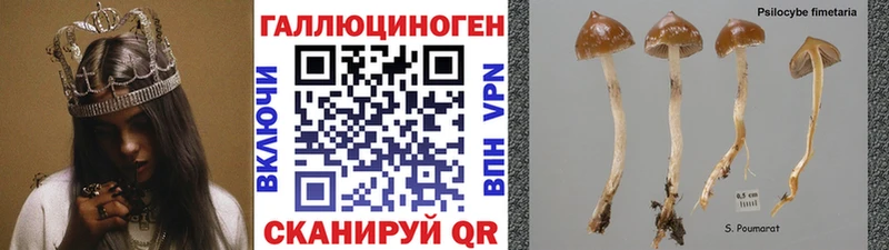 продажа наркотиков  Пикалёво  Галлюциногенные грибы мухоморы 